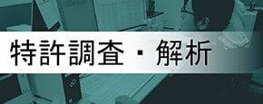 特許調査・解析